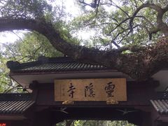 -灵隐飞来峰景区