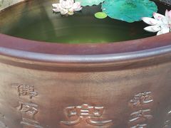 -北京上方山国家森林公园