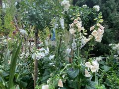 -植物学家的女儿(北马道巷店)