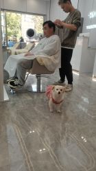 -宇东国际 HAIR SALON