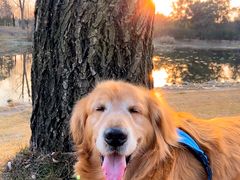 -两河城市森林公园