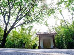 -深圳仙湖植物园