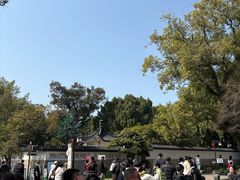 -江心屿景区