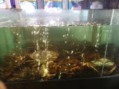 -蟹之国·精品蟹料理(极地店)