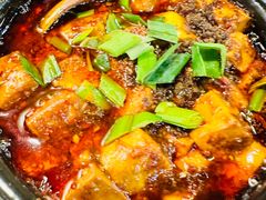 -陈麻婆豆腐(旗舰店)