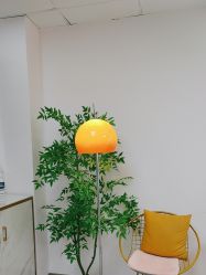 -变美丽半永久纹眉连锁·机器野生眉·洗眉