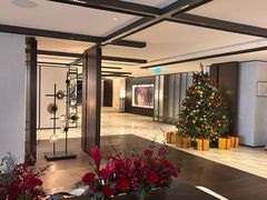 -新加坡乌节希尔顿酒店 (SG Clean)