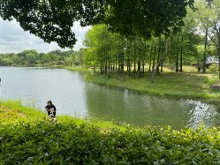 -BabyA 专业婴童摄影(古北时尚广场店)