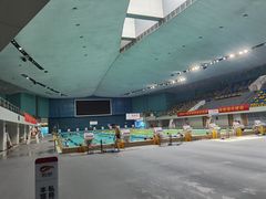 -重庆市奥林匹克体育中心-游泳跳水馆