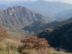 -大岭沟猕猴桃谷风景区