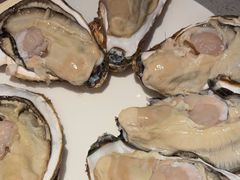 -77号·蒸海鲜青岛菜(积米崖店)