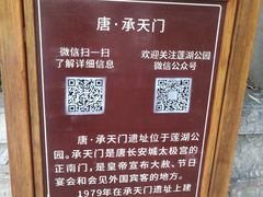 -莲湖公园