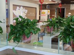 -嘉和一品粥(政府街店)