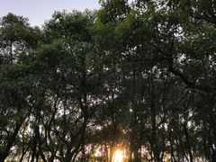 -上海都市菜园