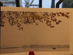 明信片-猫的天空之城概念书店(杭州南宋御街店)