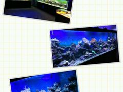 -御唐府海珊瑚主题餐厅