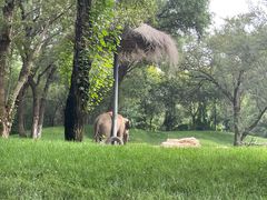 -北京野生动物园