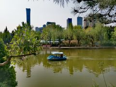 -团结湖公园