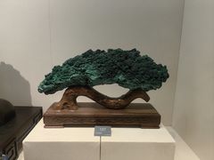 -安徽省地质博物馆