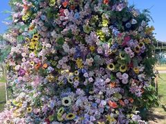 -祥源·阜阳生态乐园