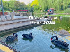 -徐家汇公园