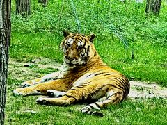 -北京野生动物园