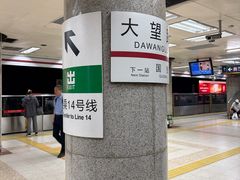 -大望路(地铁站)
