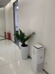 -agge蛋白医美