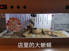 -ViTalk hub咖啡