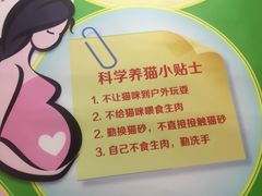 -艾贝尔宠物诊疗