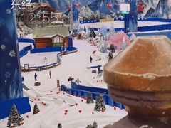 -长沙湘江冰雪世界