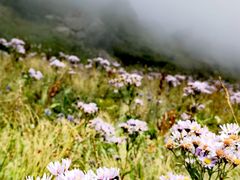 -白草畔自然风景区