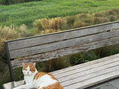 -汉长安城未央宫国家考古遗址公园