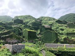 -枸杞岛