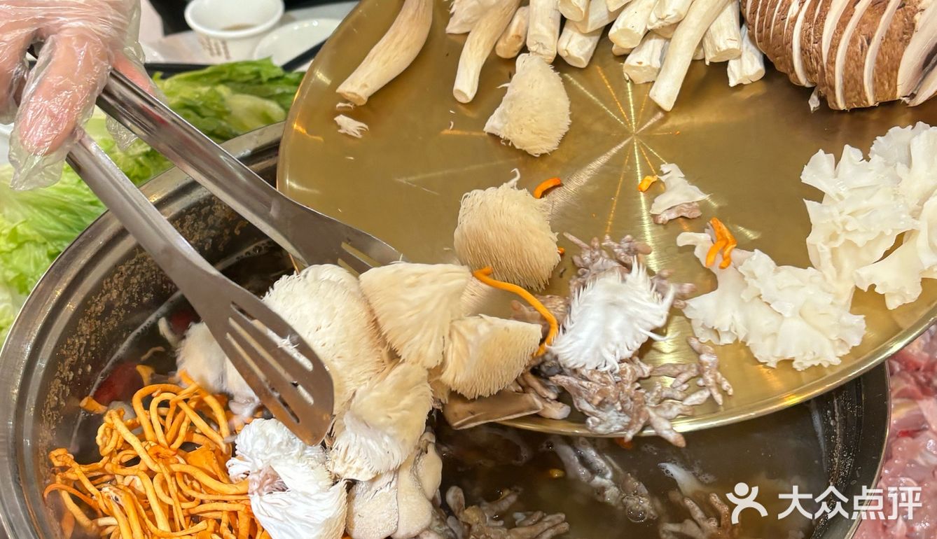 韶关周末去哪玩｜赏樱花🌸采菌子🍄