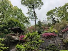 -南山植物园