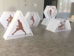 -苏州高新区文体中心体育馆