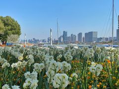 -北外滩滨江绿地