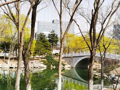 -大兴滨河森林公园