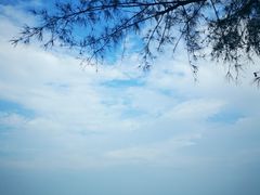 -浪琴湾度假村