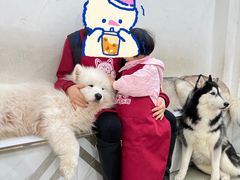 -星多哈·狗咖·拼豆·咖啡