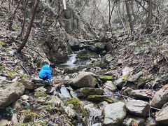 -素山寺森林公园