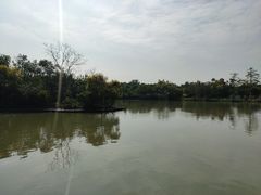 -大湾区中央湿地公园