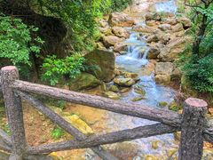 -南海湾森林生态园