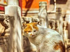 -潭柘寺景区