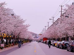 -永乐路-路侧停车场