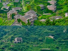 -枸杞岛