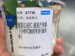 -Blueglass酸奶(财富购物中心店)