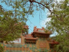 -国家植物园