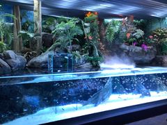 -上海海洋水族馆